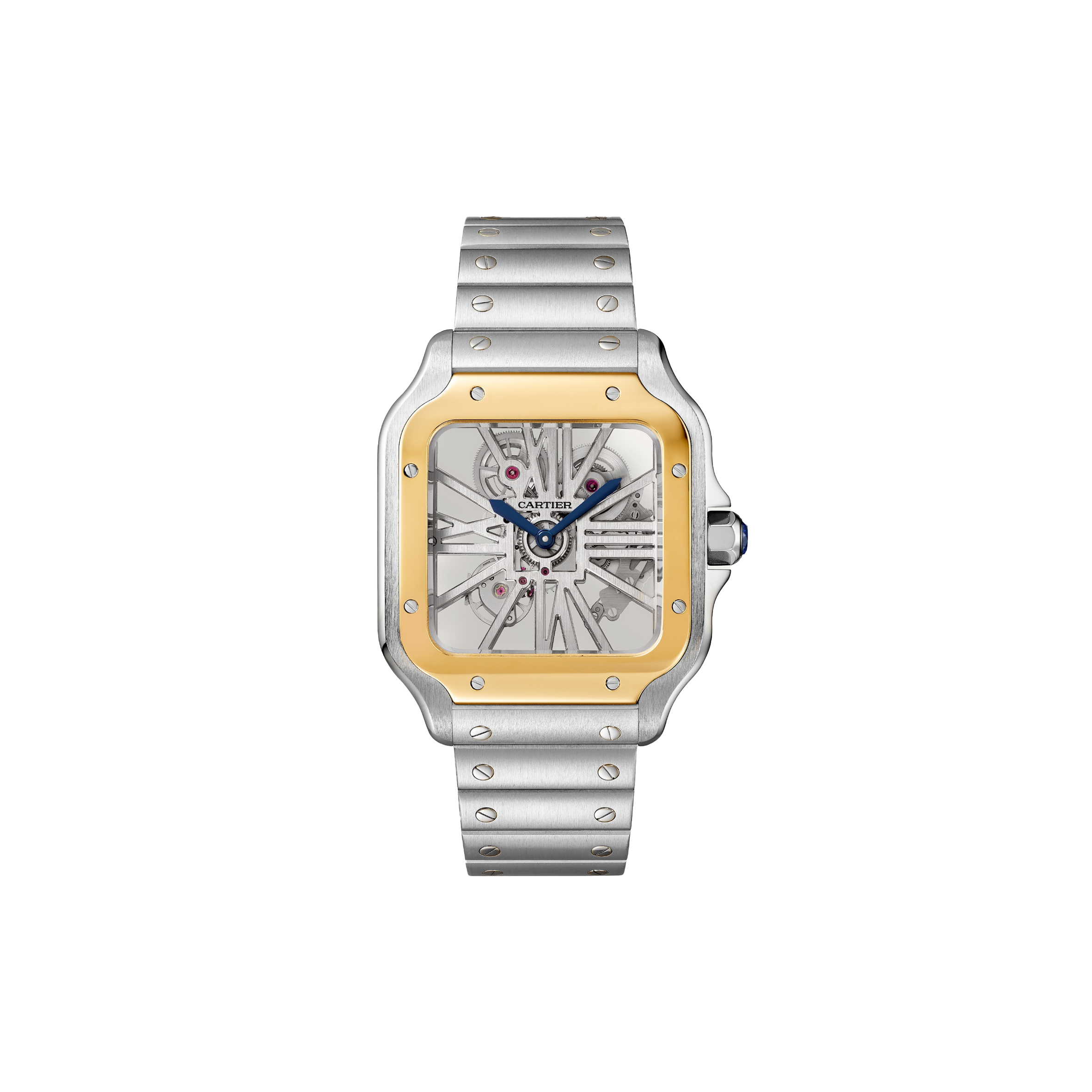 Ca*t*er santos de skeleton watch whsa0019